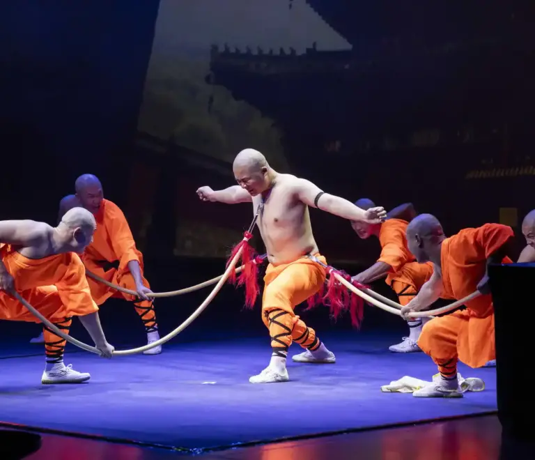 Kung Fu Show
