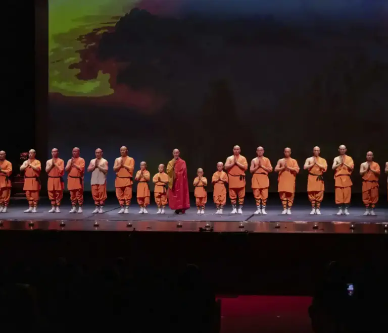 Kung Fu Show