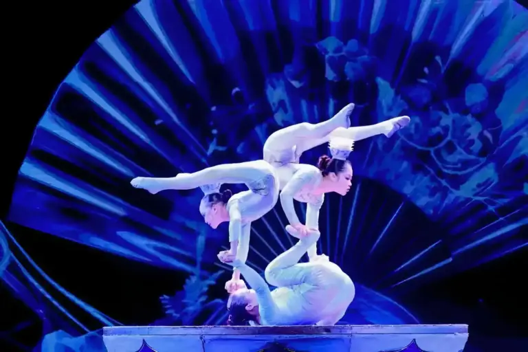 Acrobatics Show