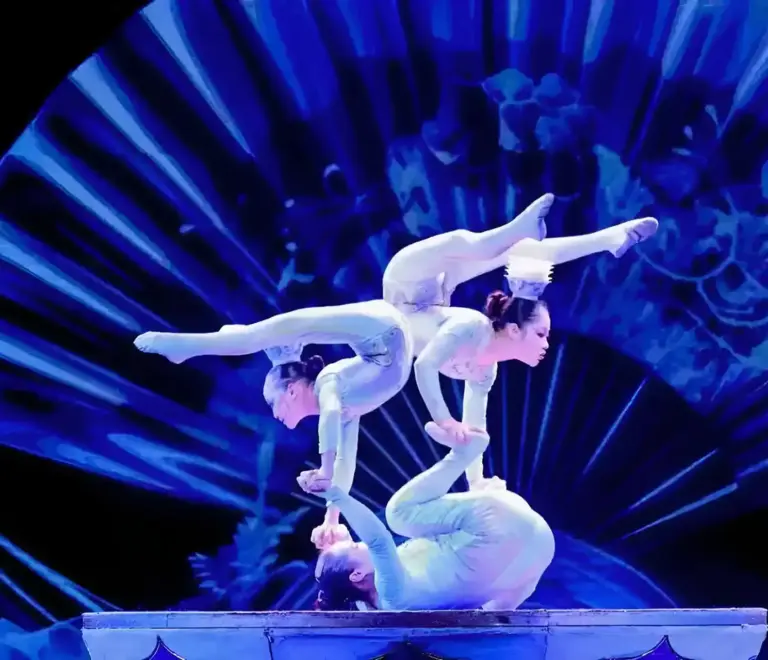 Acrobatics Show